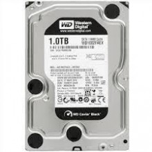 WD 1000GB SATA Black Desktop Hard Disk,Hard Disk,Hard disk,WD,Price In Pakistan,Karachi,Lahore,Peshawar,Islamabad,Queta,Multan,Deraismailkhan,Sukker,Hyderabad,itshop,it-shop,itshop.pk