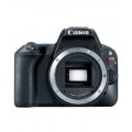 Canon EOS Rebel SL2 DSLR Camera Black (Body Only)
